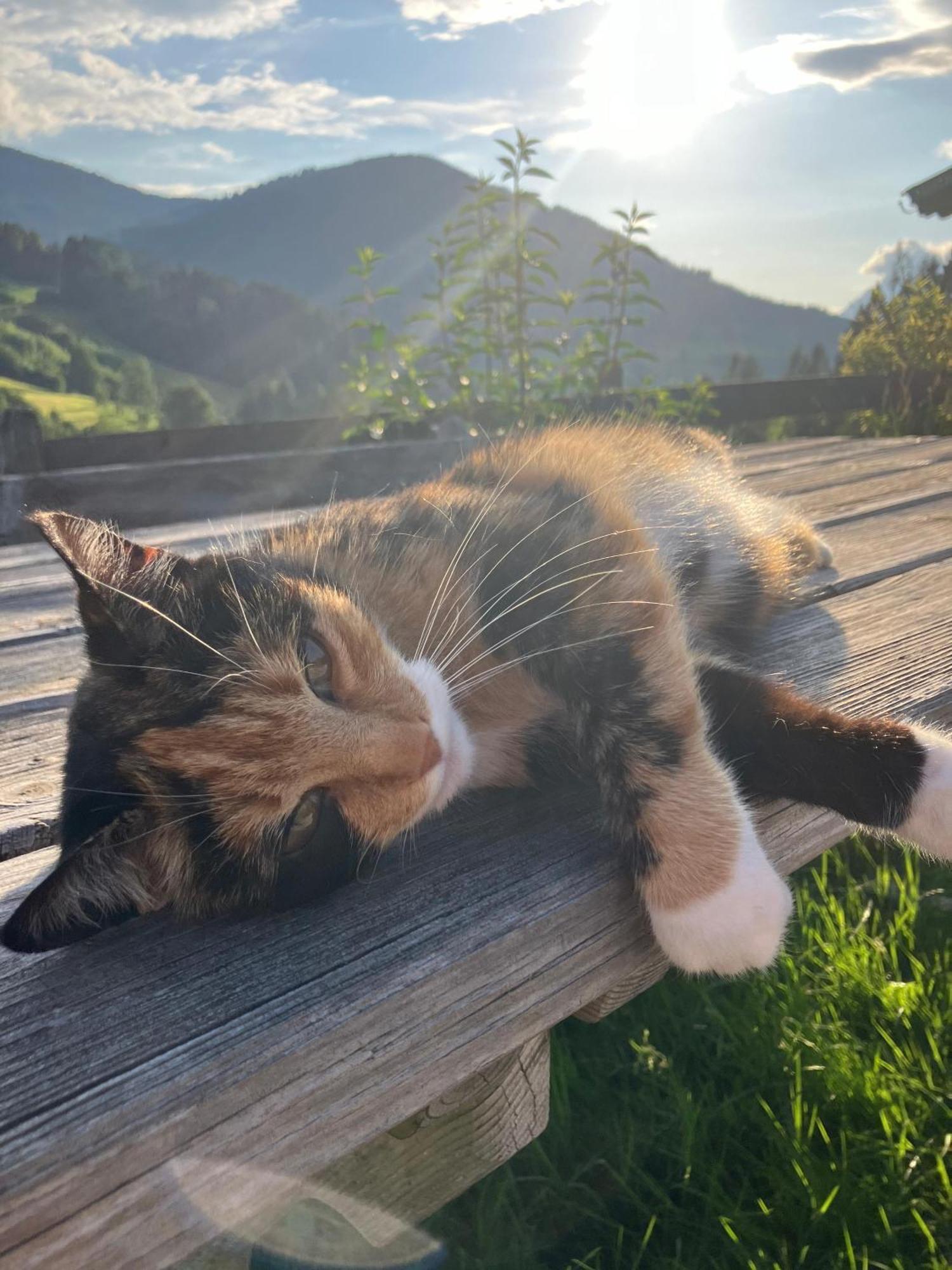 Villa Viehhofbauer Maria Alm am Steinernen Meer Esterno foto