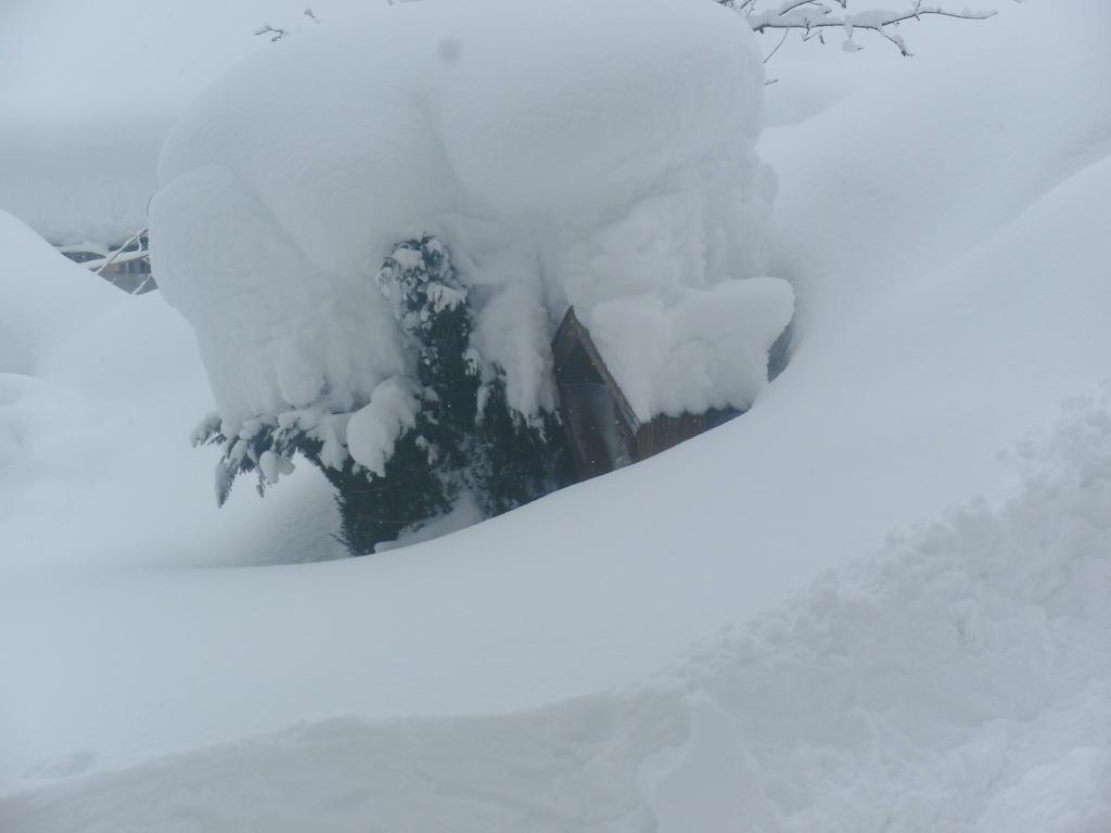 Villa Viehhofbauer Maria Alm am Steinernen Meer Esterno foto